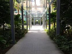 The Gale (D17), Condominium #636930321
